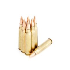 5.56 M-855 62 gr FMJ New FREE SHIPPING on orders over $300