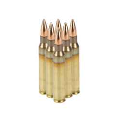 LAX 5.56 M193 55 gr Full Metal Jacket (FMJ) New LAKE CITY 50ct    ($4.99 Shipping on orders $200-$2000!)