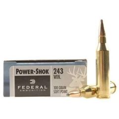 Federal 243 100 gr SP (243B)             .     ($3.99 Shipping! Orders $200-$2000)